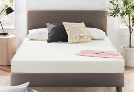 Wayfair Sleep Mattress 