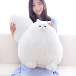 Cat Stuffed Animal