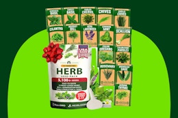 packs of herb seeds 