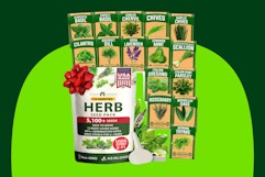 packs of herb seeds