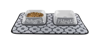 bone dry pet bowl amazon collgae