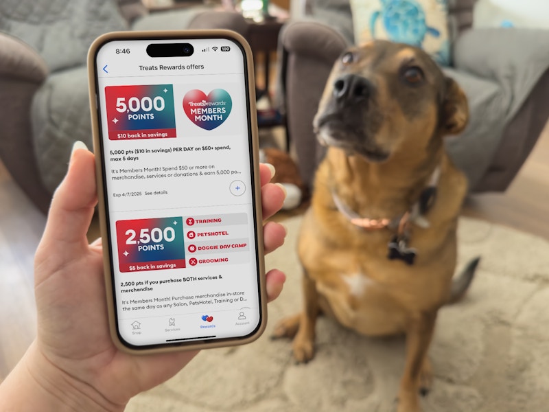 Someone holding a phone displaying the Treats rewards page on the Petsmart app