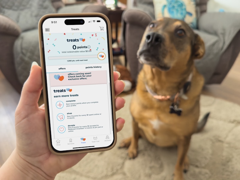 Someone holding a phone displaying the Treats rewards page on the Petsmart app