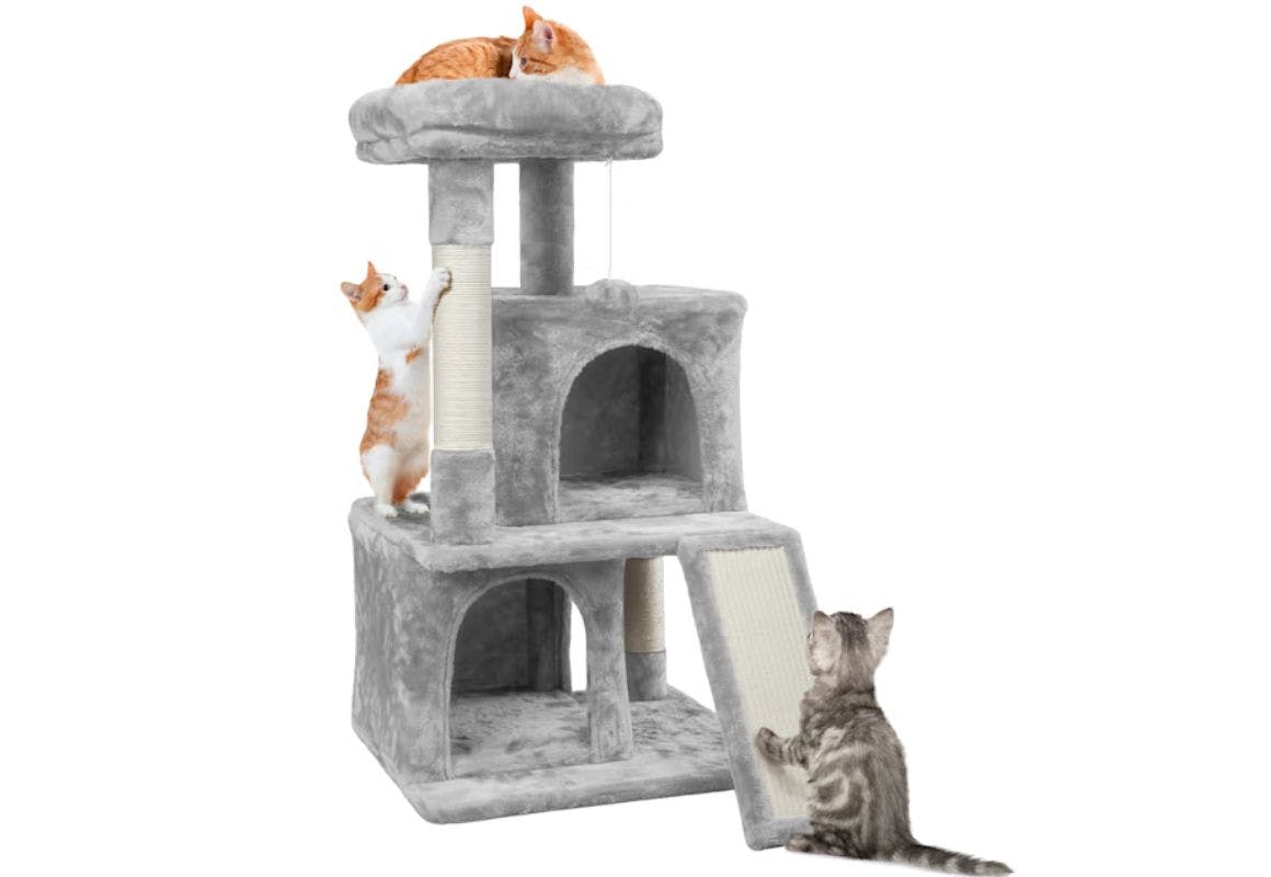 Cat Tree with Condos