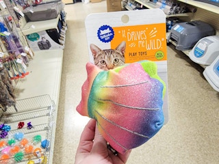 cat toy