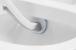 a toilet brush cleaning a toilet