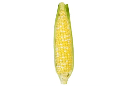 Sweet Corn