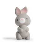 Ingenuity Sylvi Teether Toy