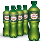 Canada Dry Ginger Ale 6-Pack