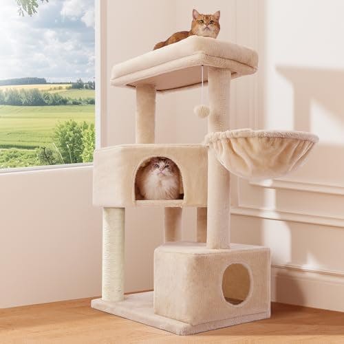 Cat Tree