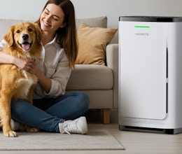 Pet Air Purifier, Now $54.99 on Amazon card image
