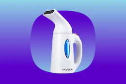 portable garment steamer