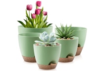 Self-Watering Pot Set