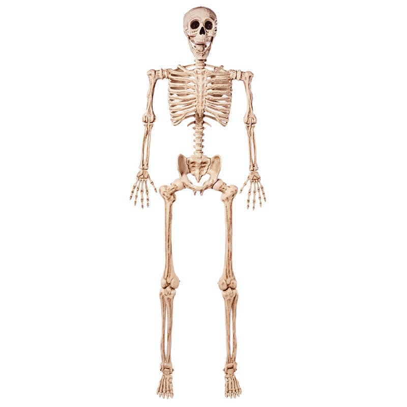 Halloween Posable Skeleton