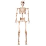 Halloween Posable Skeleton