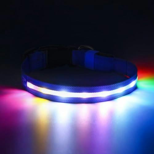 Light Up Dog Collar
