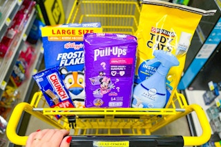 dollar general groceries in a shopping cart