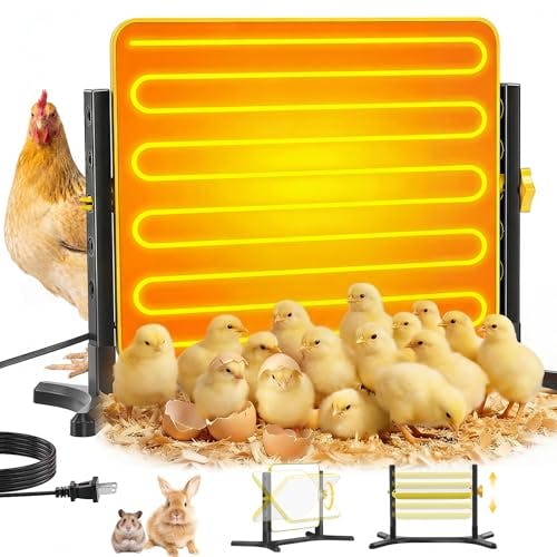 Brooder Plate for Chicks