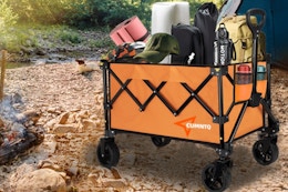 Collapsible Wagon Cart