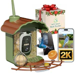 Smart Bird Feeder