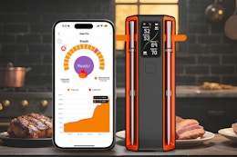 a wireless meat thermometer near food