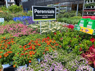 perennials spring home depot 2022 1649342343 1649342343