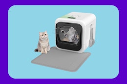 Smart Odor Control Litter Box, Only $60 With Amazon Promo Code (Reg. $120) card image