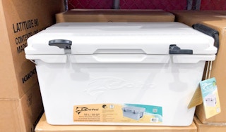 costco coho 55 quart rotomolded cooler 1684509795 1684509795