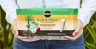 amazon miracle growjpg 1680891484 1680891484