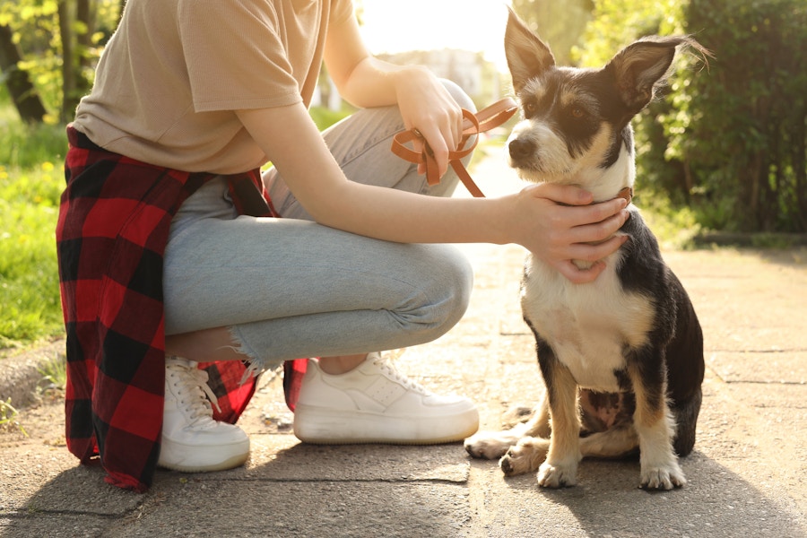 teenage girl with dog walker with leash