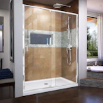 Pivot Shower Door