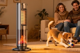 Space Heater - 1500W PTC Heaters for Indoor Use - Portable Heater with Thermostat and Remote - Room Heaters with 70° Oscillation