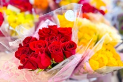 12-Stem Roses for $9.99 at Aldi, Plus More Floral Deals card image