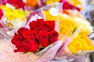 aldi valentines day roses
