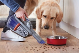Black+Decker Furbuster Handheld Vacuum, Just $80 on Amazon (Reg. $128.46) card image