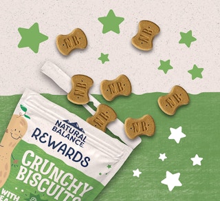 crunchy dog biscuits