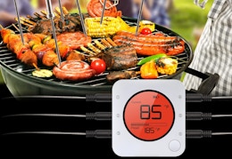 Clearance Meat Thermometer With App, Just $16 at Walmart.com (Orig. $35) card image