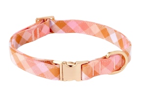 Boots & Barkley Adjustable Dog Collar