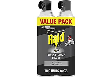 Raid Wasp & Hornet Spray 2-Pack