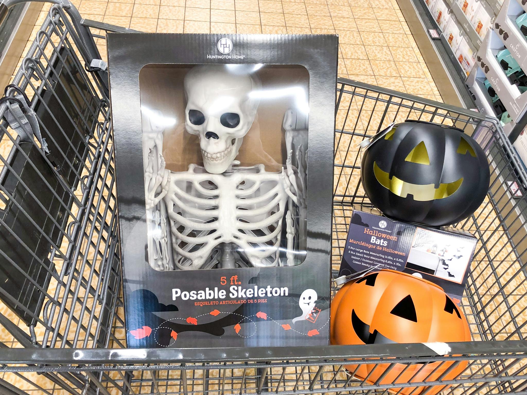 Aldi\'s 5-Foot Posable Skeleton, Only $29.99 + More Halloween Decor ...