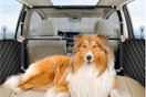 Woot Dog Car Barrier Set