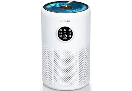 Large Room Air Purifier