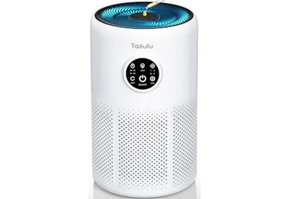 Large Room Air Purifier