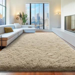 Area Rug