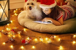 Battery Operated Christmas String Lights