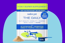 Native Pet Dog Multivitamins, Just $9 With Amazon Coupon (Reg. $20) card image