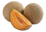 Cantaloupe