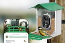 bird feeder