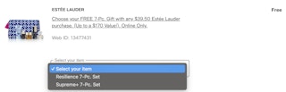 screenshot of free gift with purchase