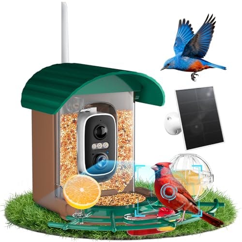 Smart Bird Feeder With Camera